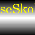 laeselogo.png