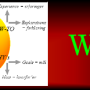whenlogo.png