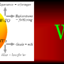 whylogo.png
