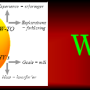 whatlogo.png
