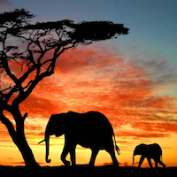 ./../img/ab/afrika/00.png