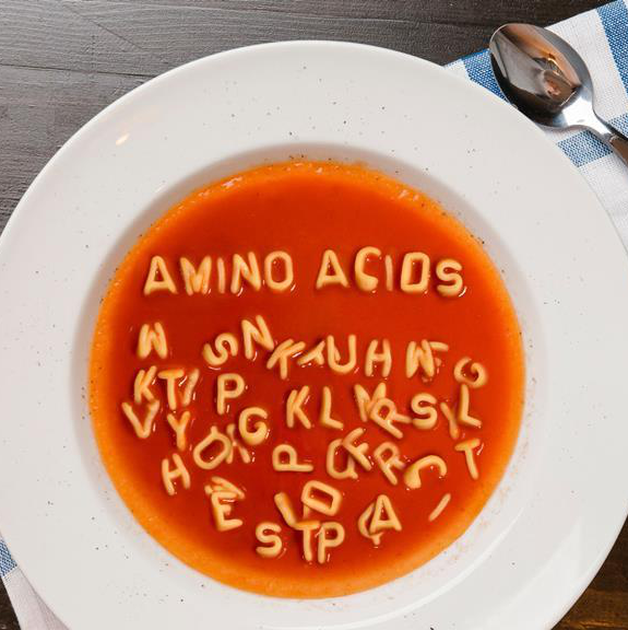 ./../img/ab/aminosyrer/01.png