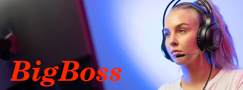 ab/bigboss/logo.png