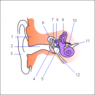 ./../img/./../img/ab/body/02.png