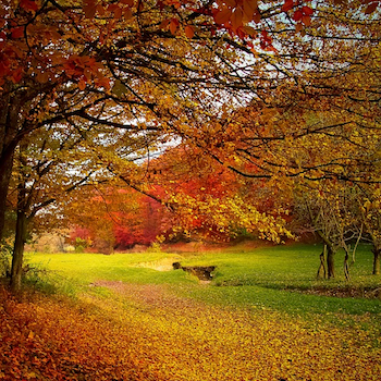 ./../img/./../img/ab/vejr/indiansummer/00.png